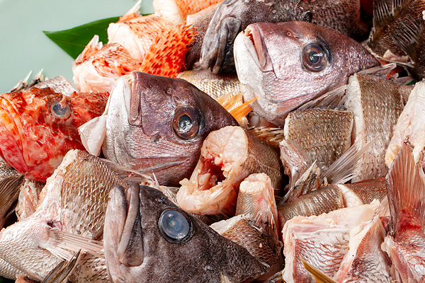 The ironclad rule for ingredients: fresh Oga raw seafood.